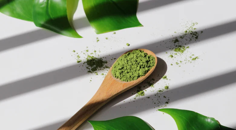 In the Kitchen with Chado: Matcha Fudge