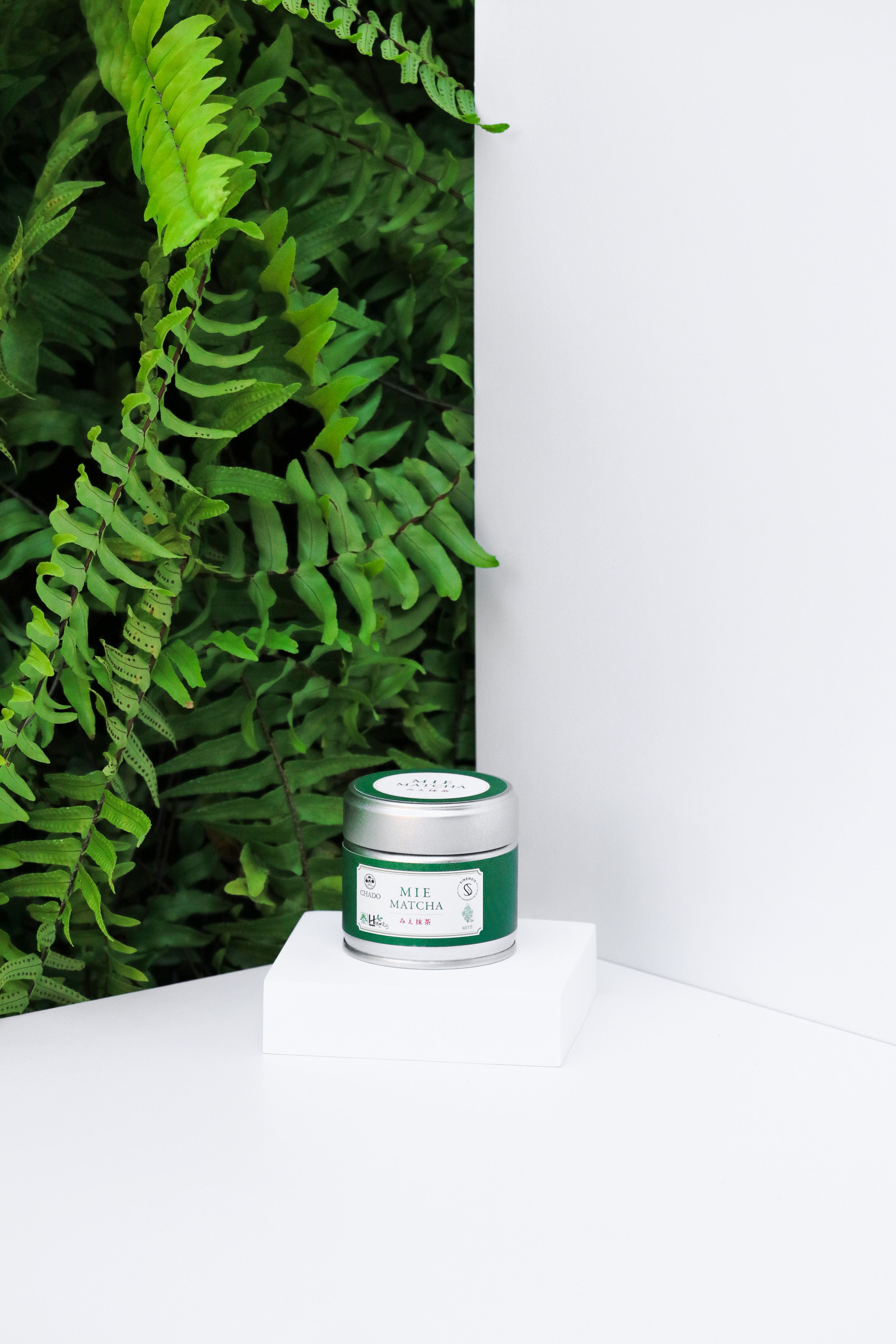 Chado X Sinensis Ceremonial Matcha