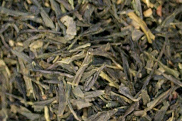 Sencha