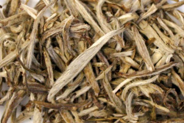 Yin-Zhen (Silver Needles) - First Quality