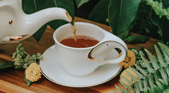 First Flush Darjeeling Tea