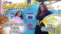 Tea and Disney: Tea Offerings at Disney's Food and Wine Festival