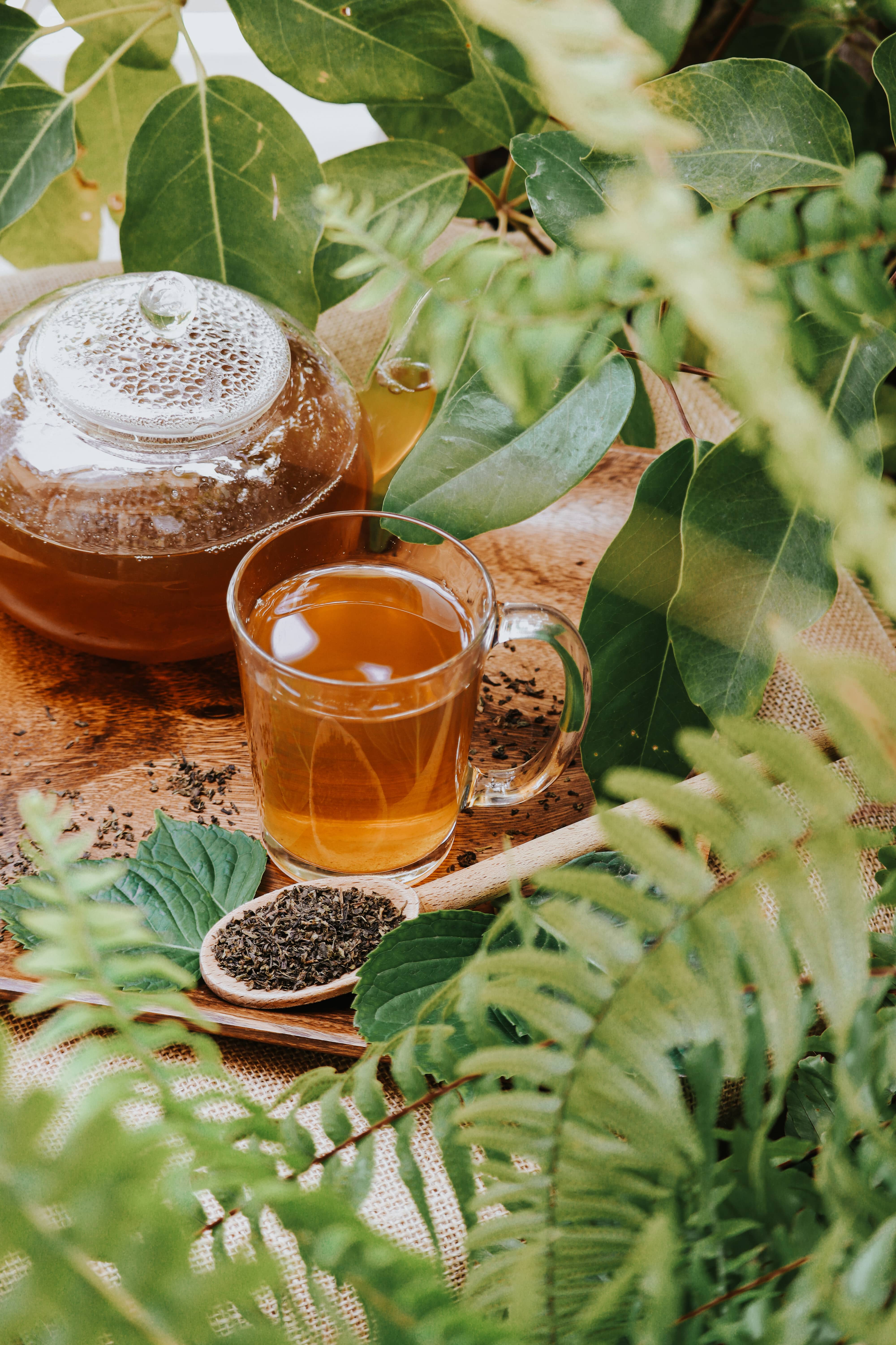 Chado Special Oolong