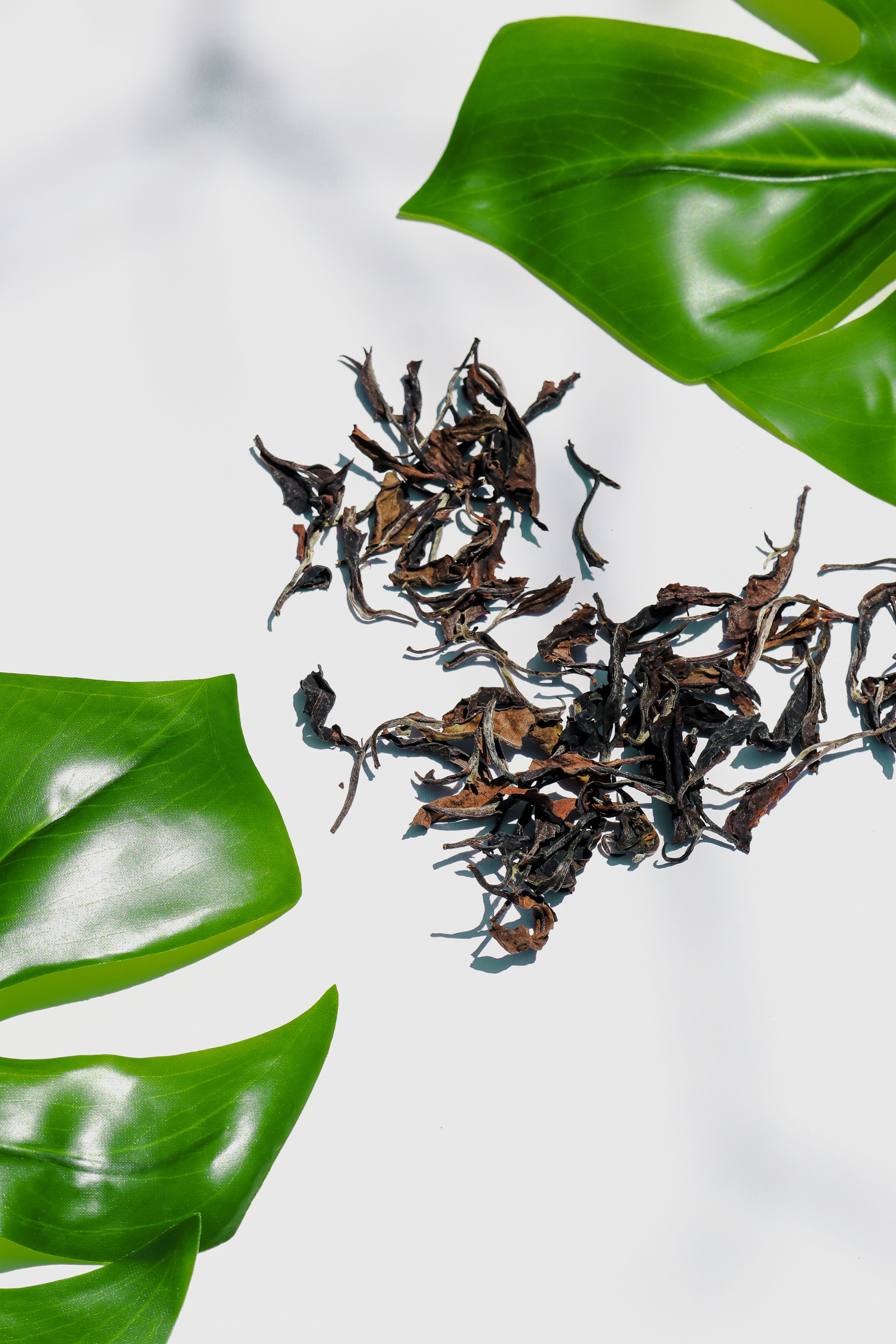 Colombian White Tea