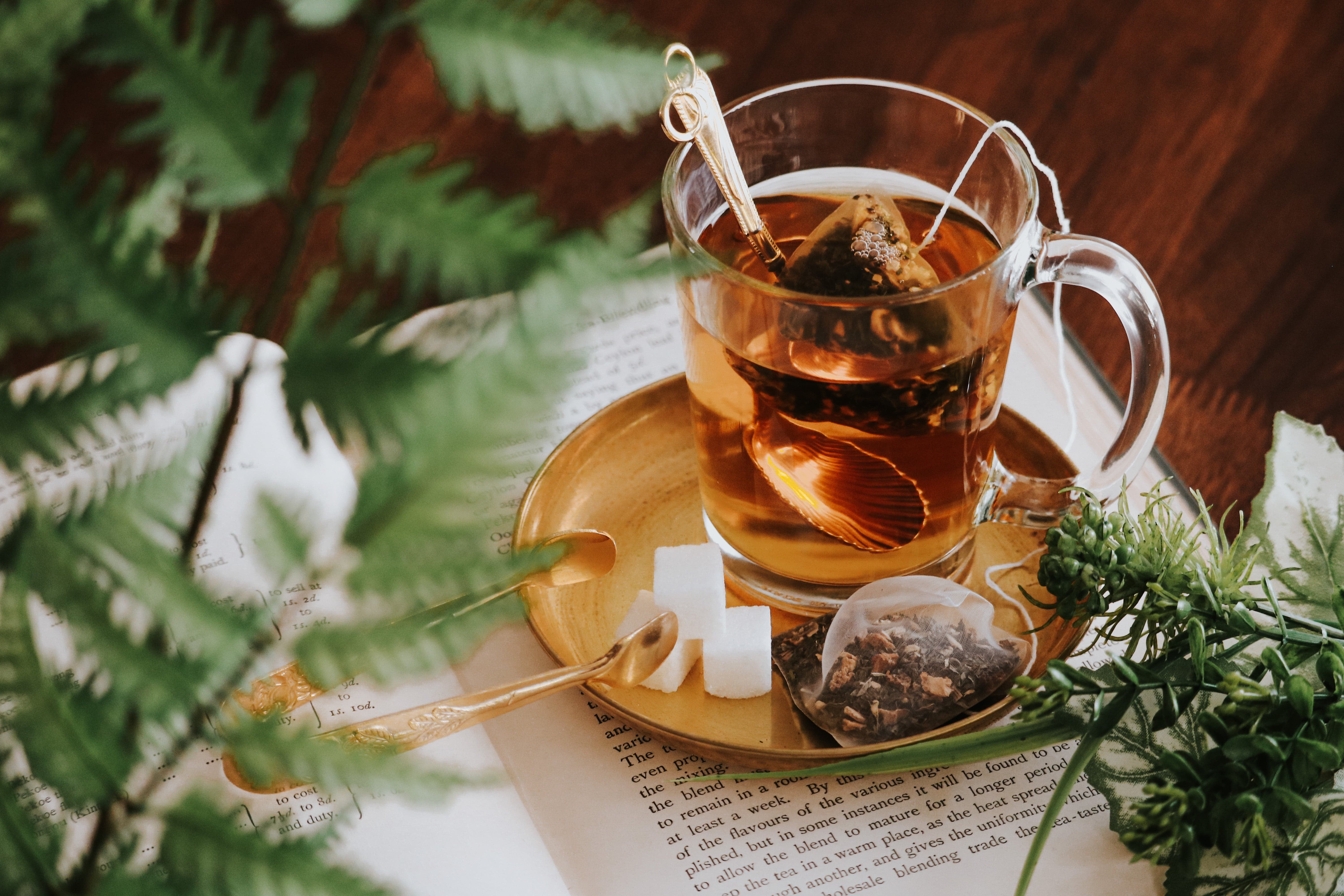 Evening Comfort Pyramid Tea Bags – Chado Tea