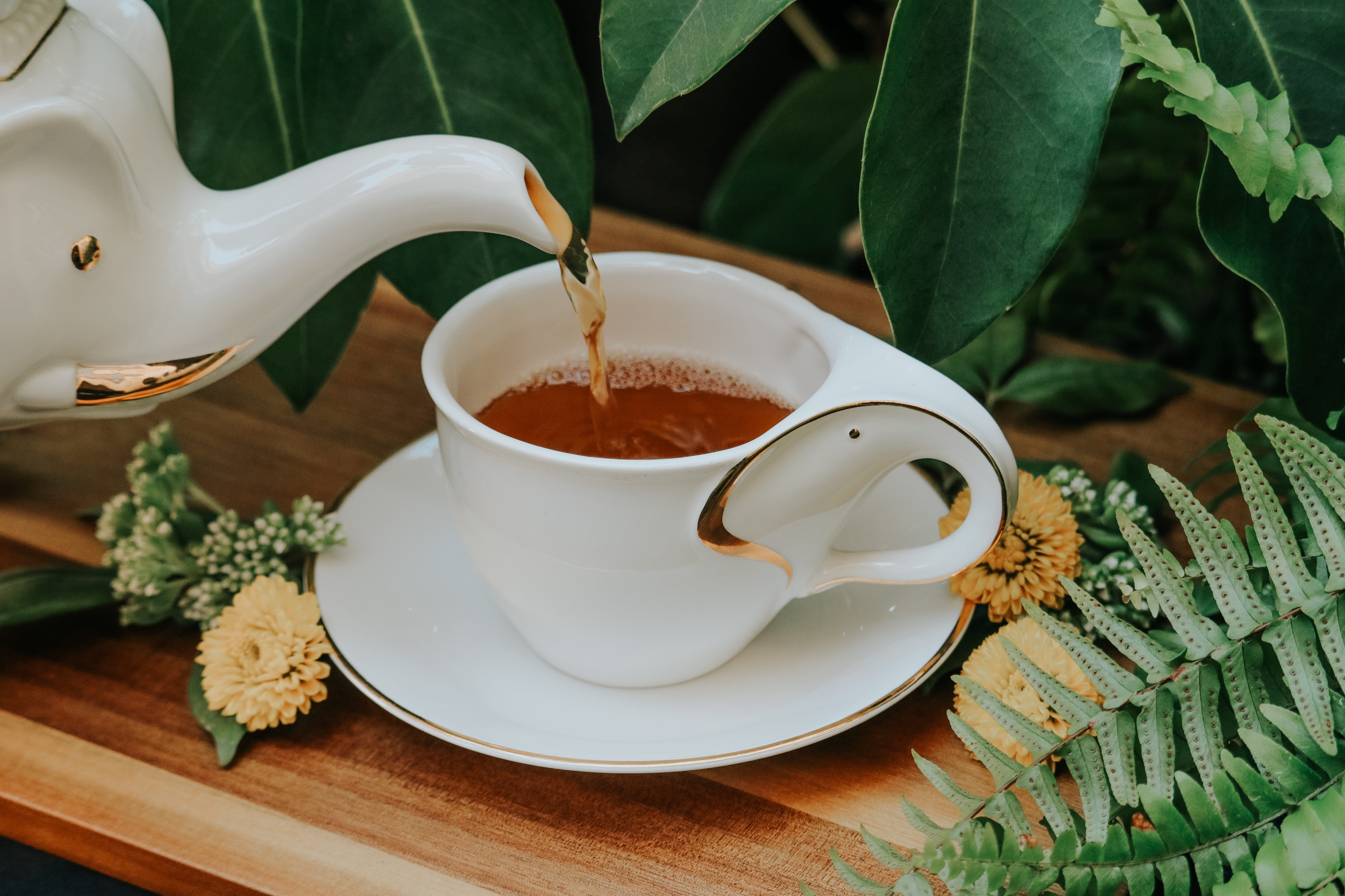 First Flush Darjeeling