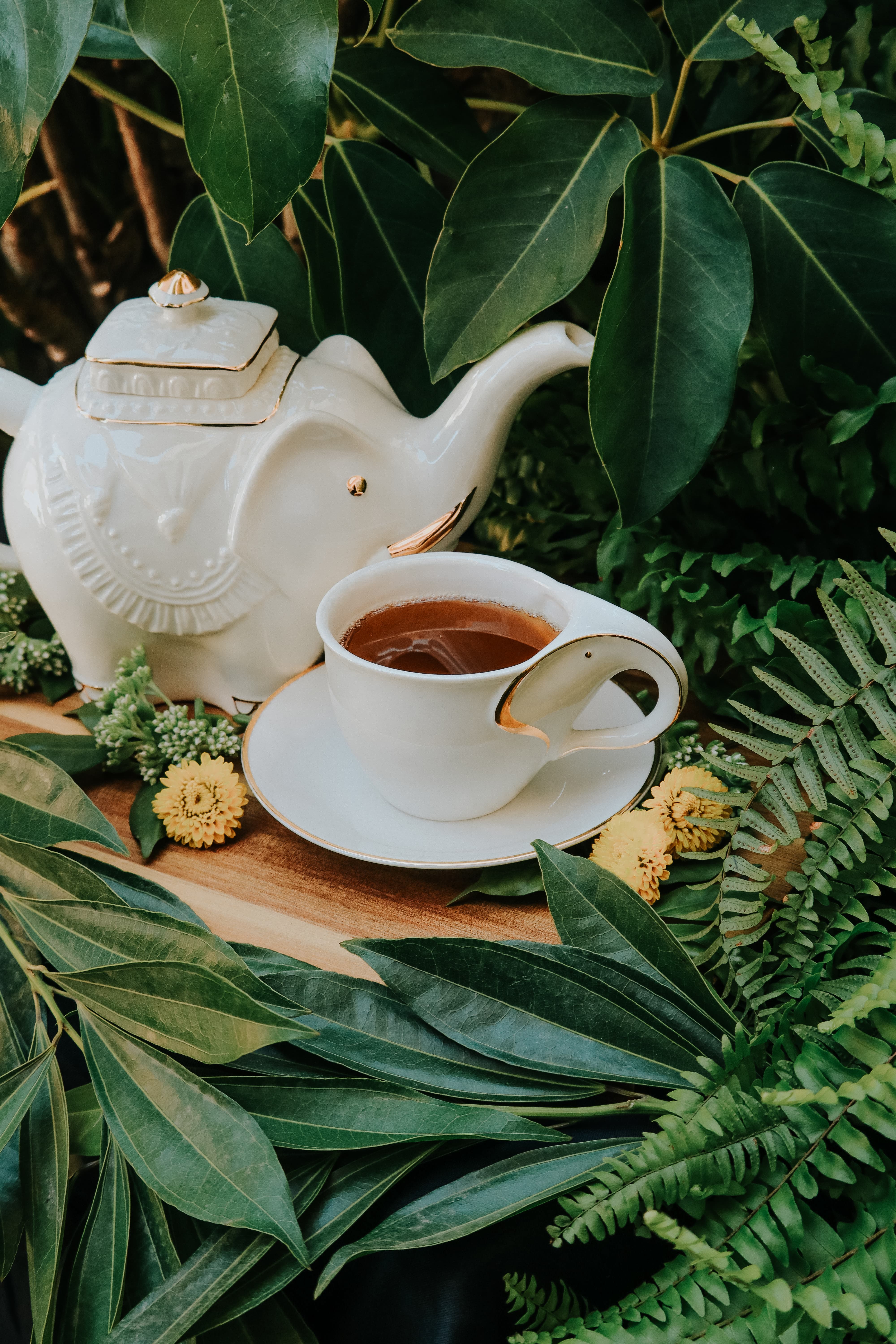 First Flush Darjeeling