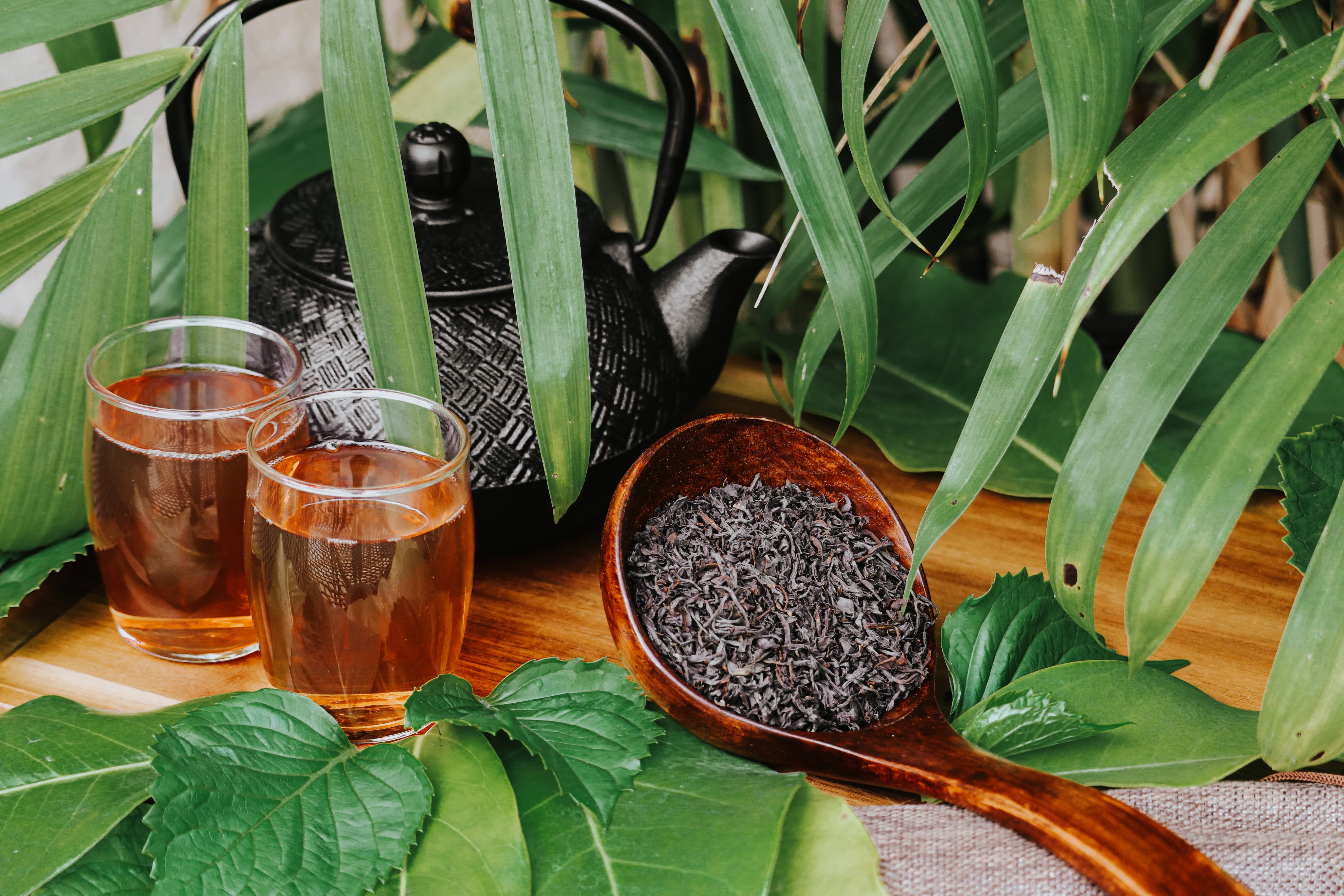 Korakundah Estate Black Tea