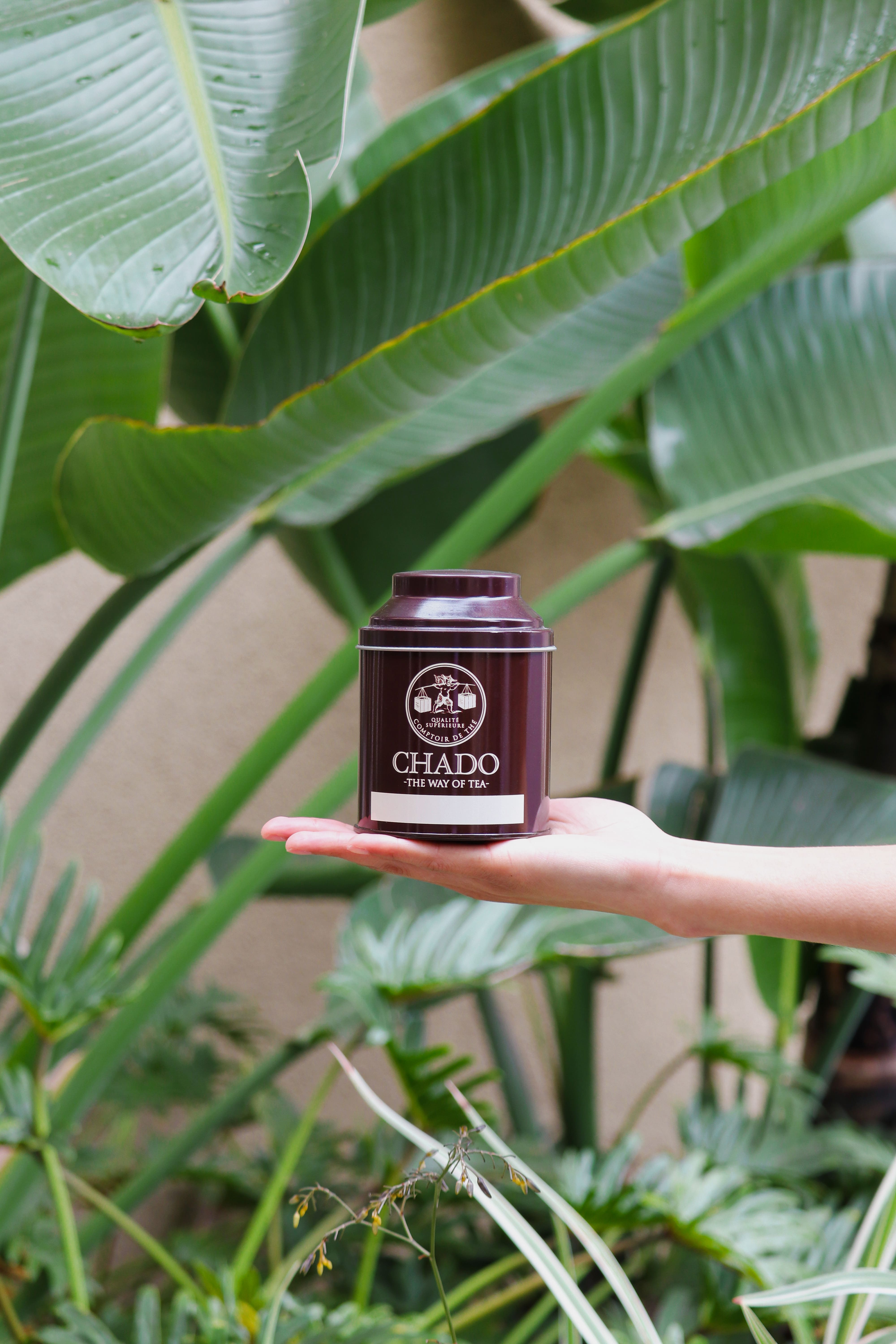 Mini Chado Canister