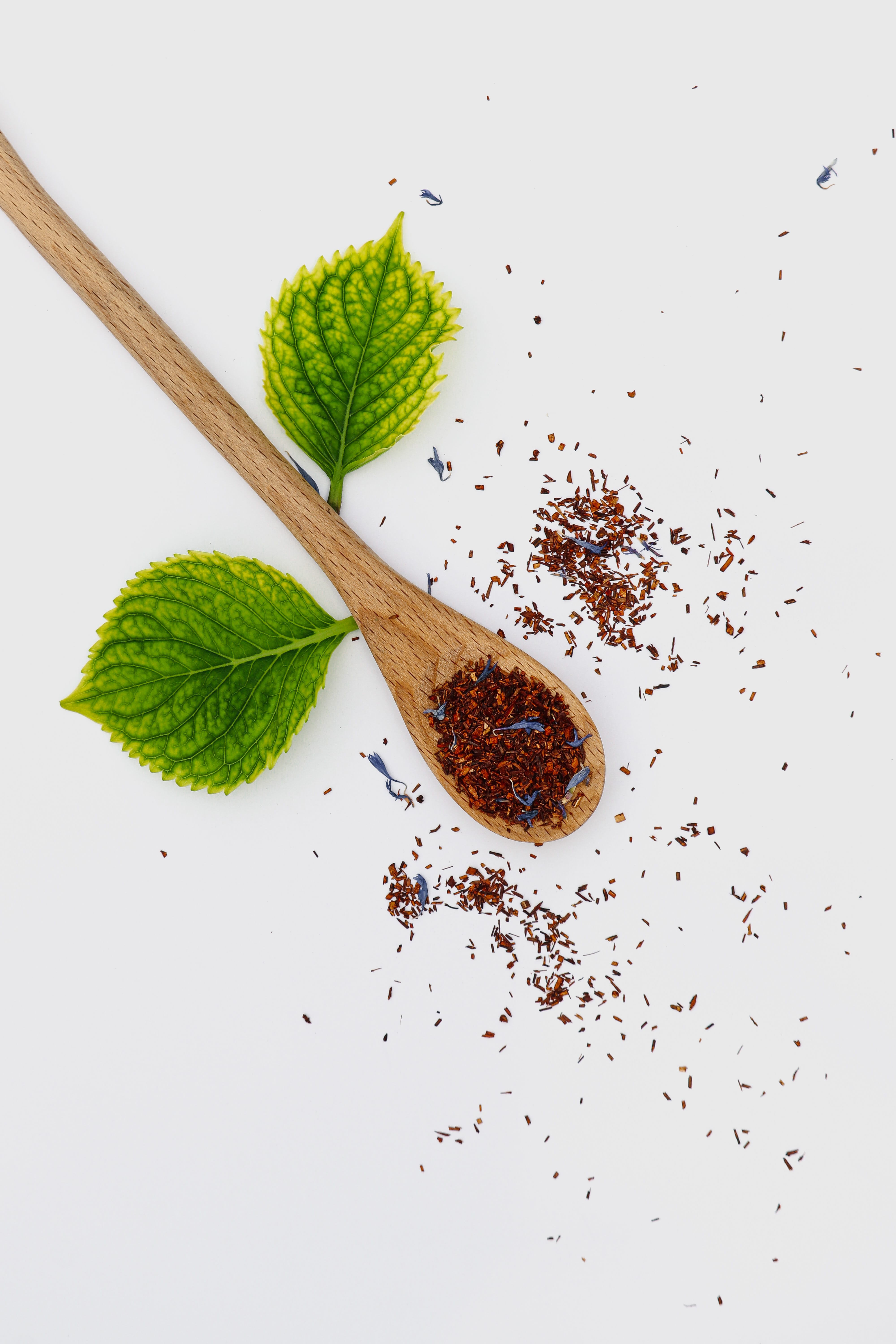 Rooibos Africana