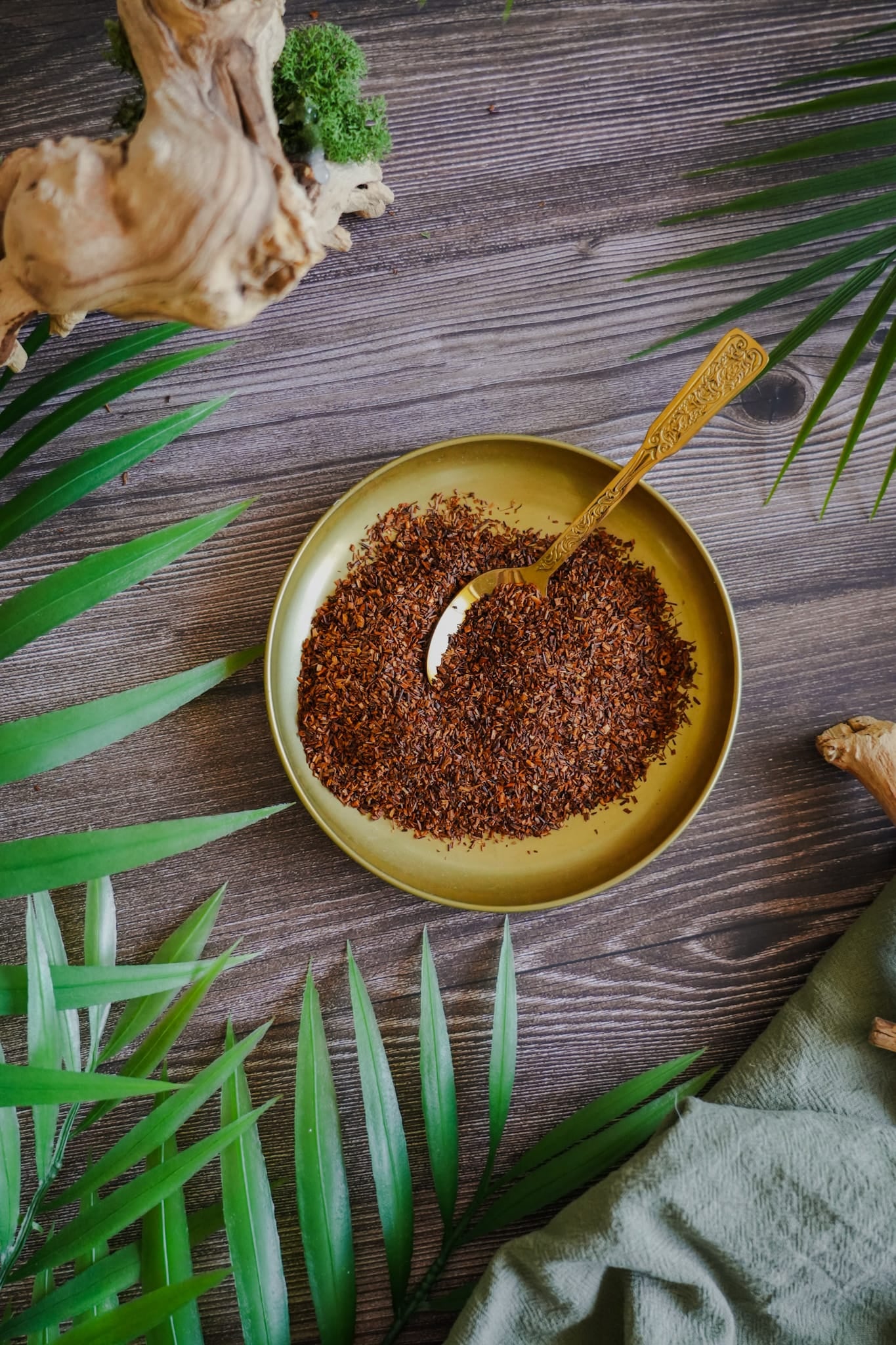 rooibos tea plant seeds Rooibos Bourbon – Chado Tea